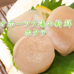 美味しいオホーツクのホタテ
