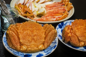 美味しい海産物いかがですか!